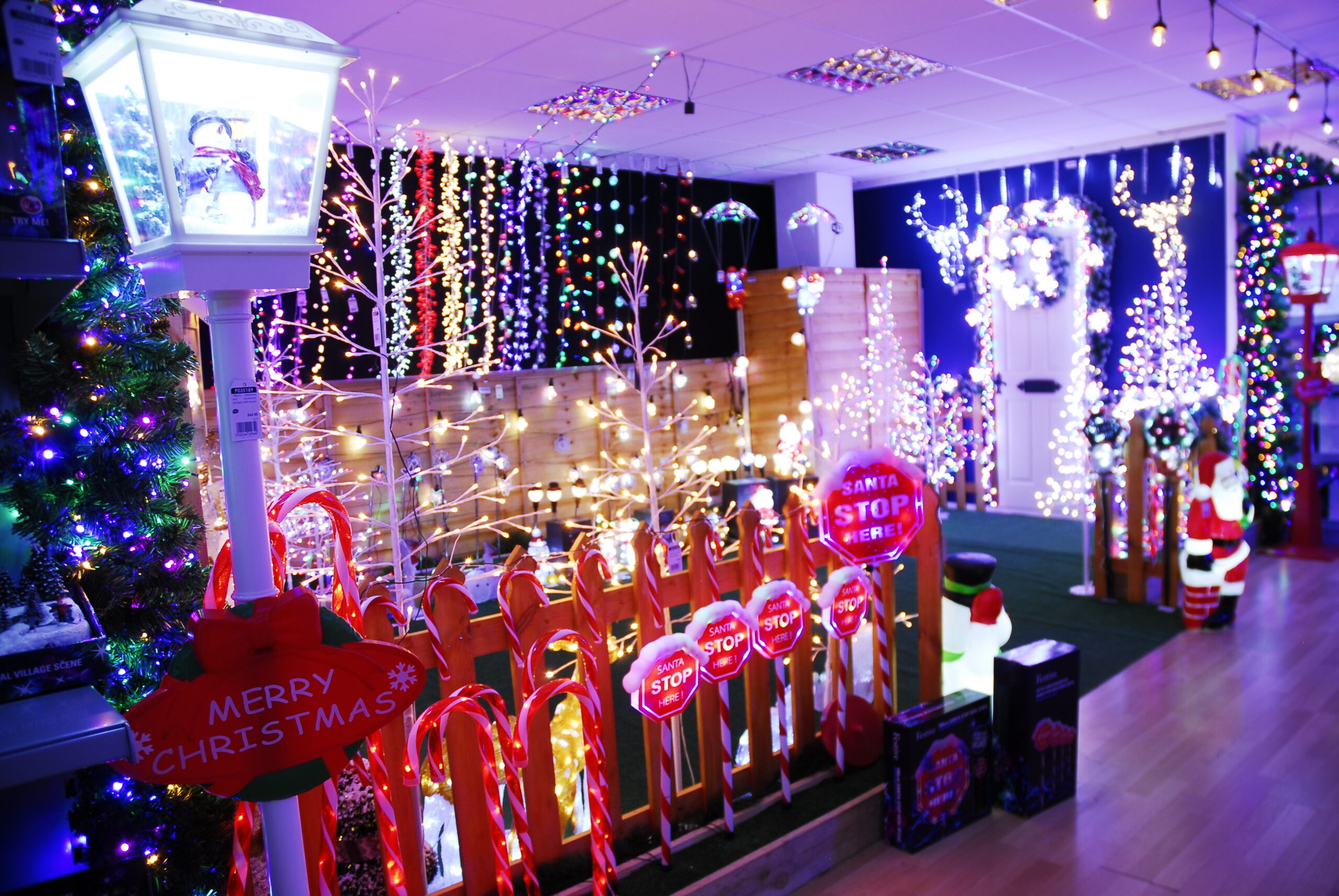 Christmas Lighting - Festive
