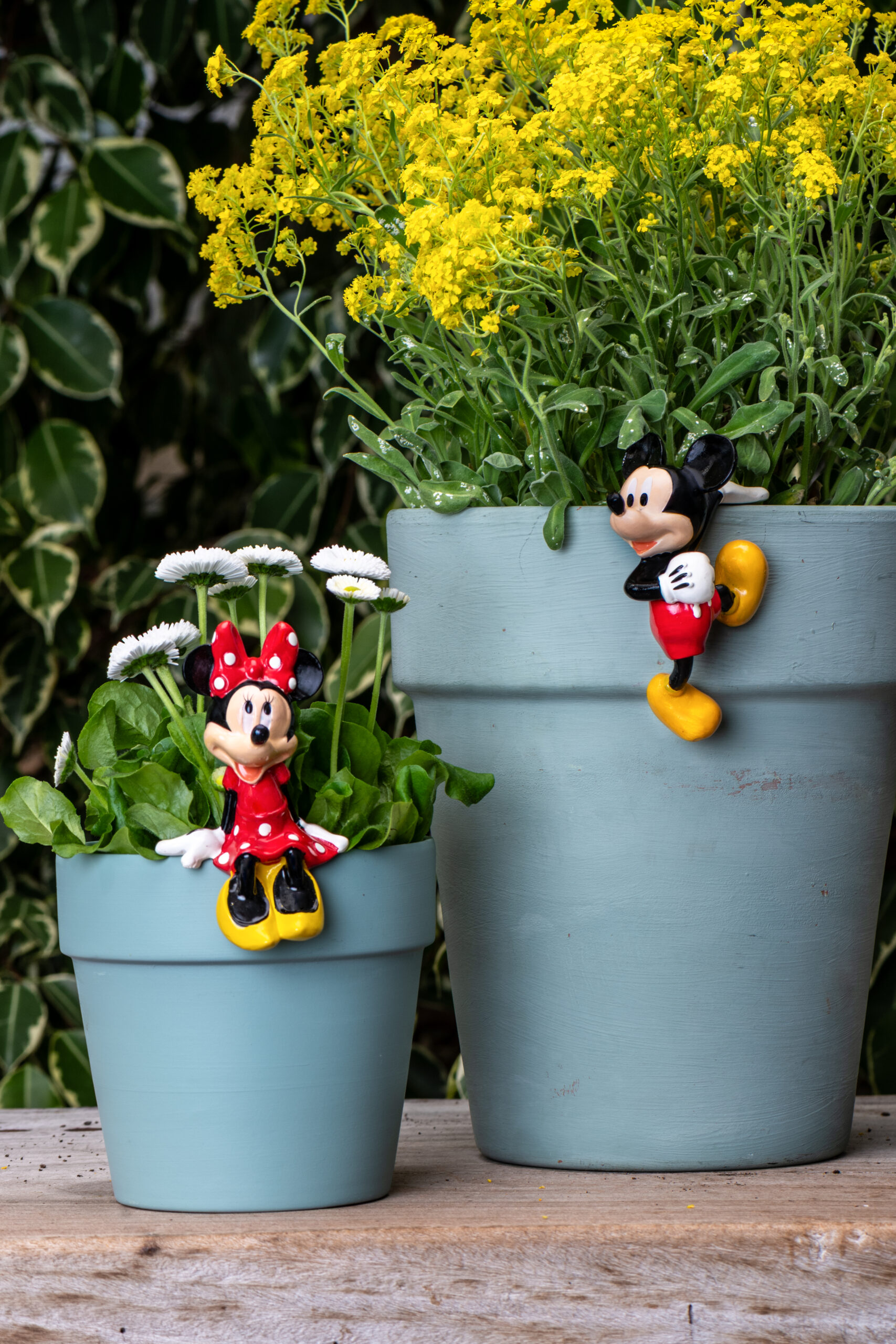 Festival Home & Garden